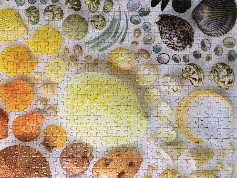 Rainbow Seashells 2000 Piece Puzzle